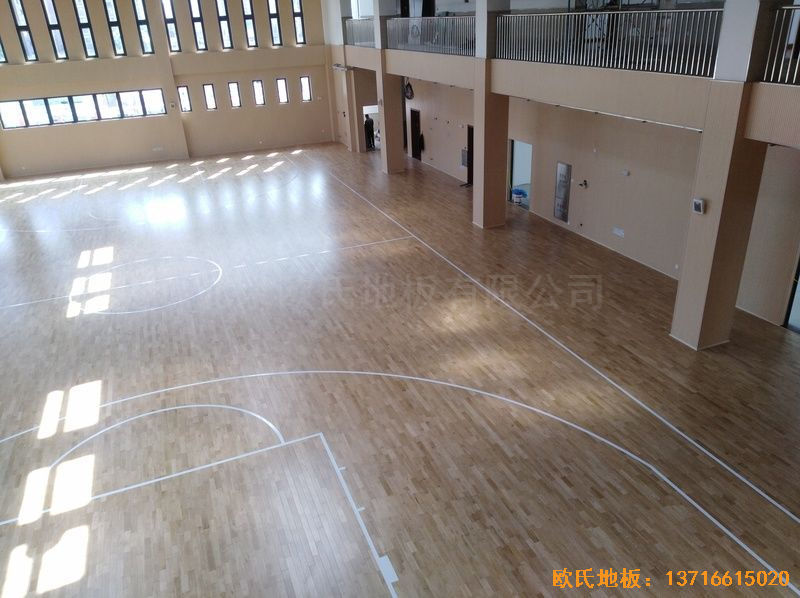 �Ϻ��ζ��^(q��)���С�W(xu��)�\(y��n)��(d��ng)�ذ尲�b����