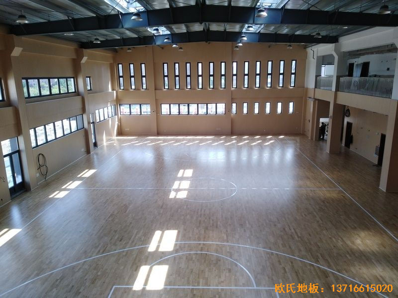 �Ϻ��ζ��^(q��)���С�W(xu��)�\(y��n)��(d��ng)�ذ尲�b����