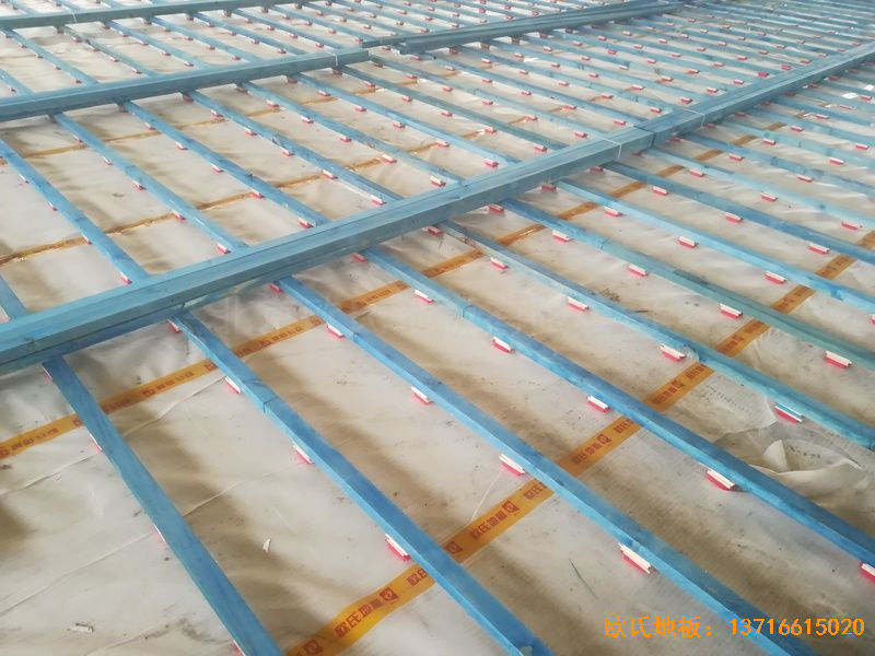 ɽ�|��(j��)�Ϛv�ǅ^(q��)С�W(xu��)�w��ľ�ذ���b����