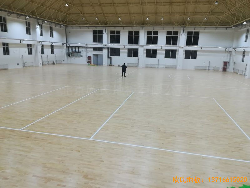 ɽ�|��(j��)�Ϛv�ǅ^(q��)С�W(xu��)�w��ľ�ذ���b����