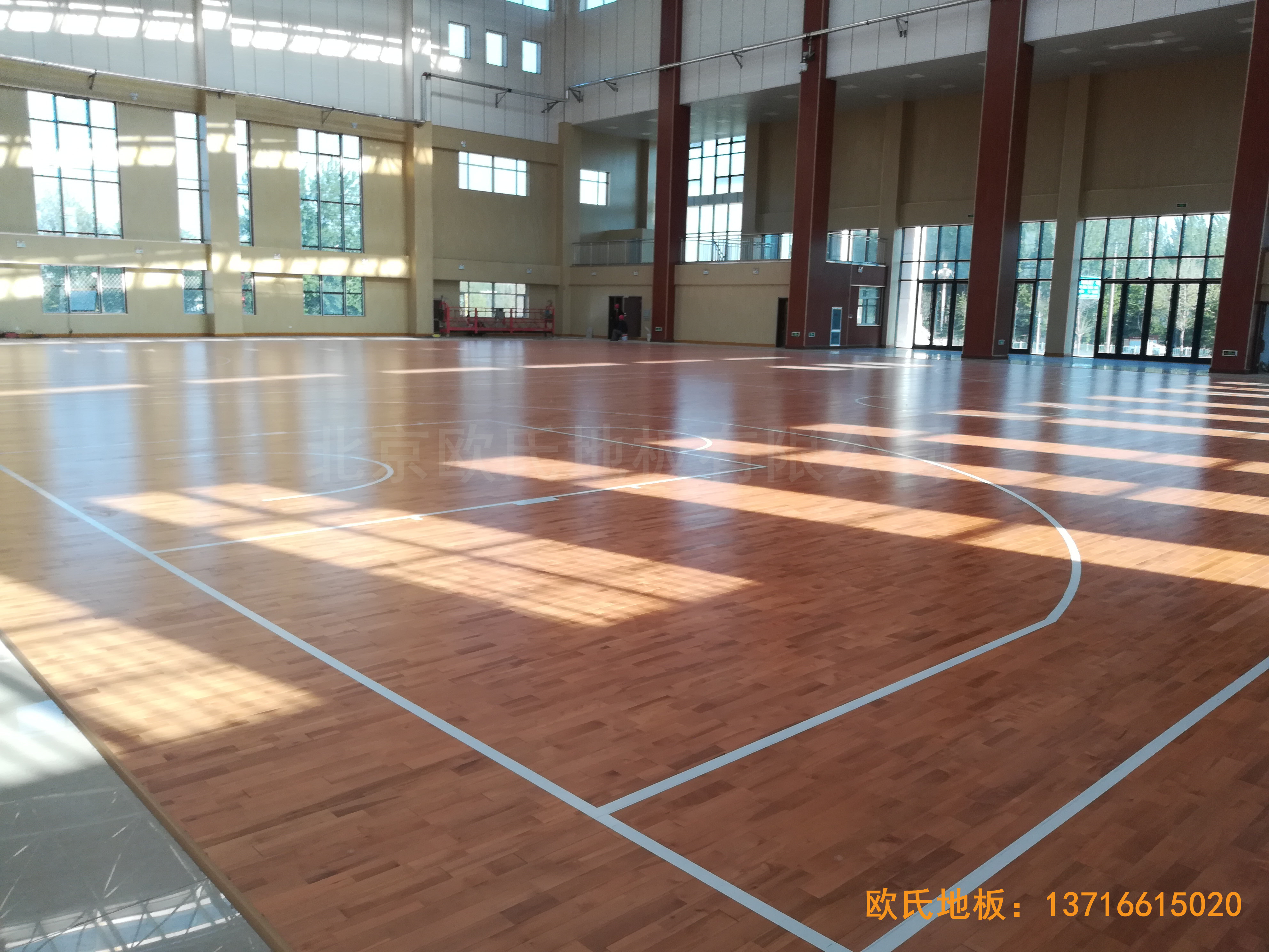 �R���w�������w���ذ尲�b����5