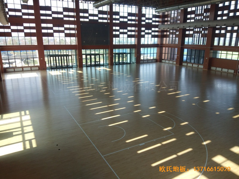 �ӱ����̴�W��У�^(q��)�@���^�w��ľ�ذ���O����5