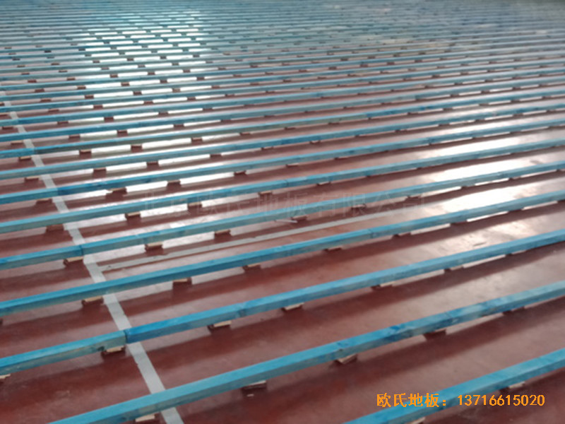 �ӱ������w���W(xu��)���@���^�\��ľ�ذ尲�b����1