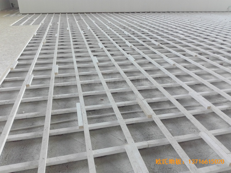 ������ꖵ�ʮ���ЌW(xu��)�w���^�\(y��n)��ľ�ذ���b����1