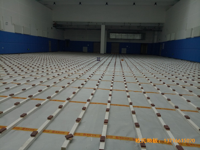 �L��ʮһ���б����W(xu��)У�w���^�w��ľ�ذ尲�b����1