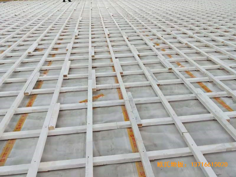 ���ϳ����t(y��)���W(xu��)Ժ�@���^�w��ľ�ذ���O(sh��)����1