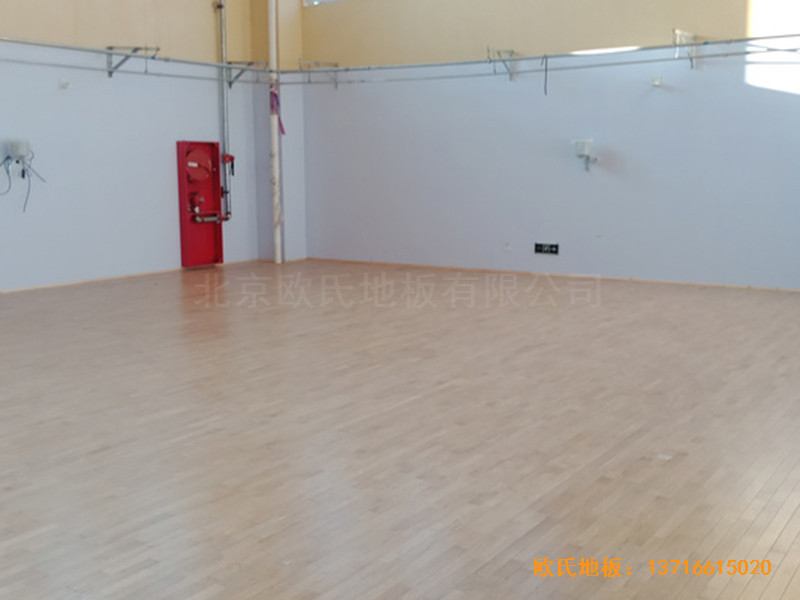 ������ɽ�ǽ�����ˮС�W(xu��)�@���^�w��ľ�ذ�ʩ������4