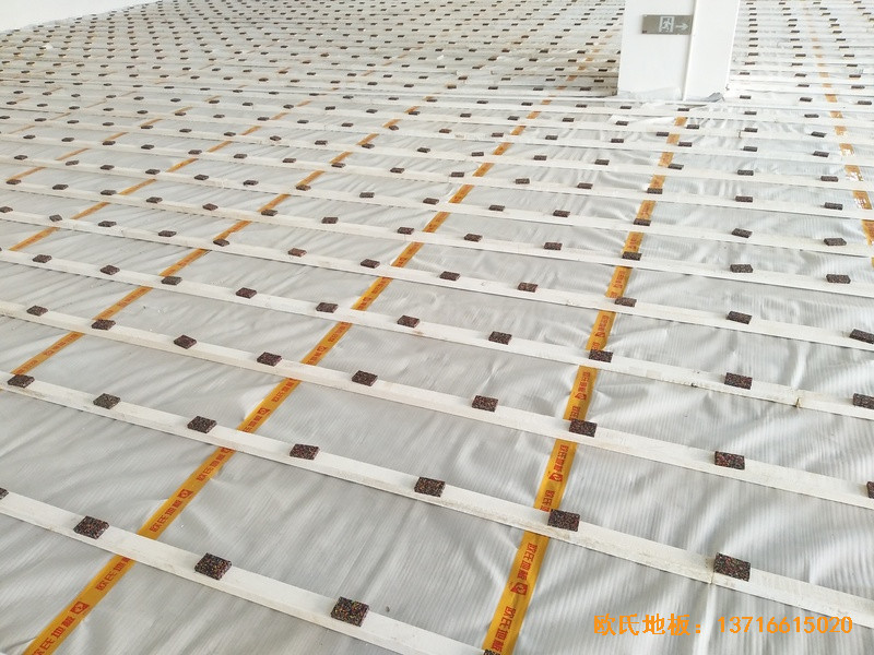 �Ĵ����e���R�ی��W(xu��)У�w���^�\��ľ�ذ尲�b����1