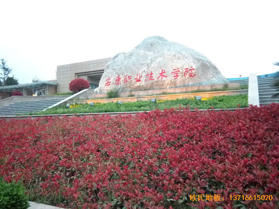 ��������I(y��)���g(sh��)�W(xu��)Ժ�@���^�w��ľ�ذ�ʩ������