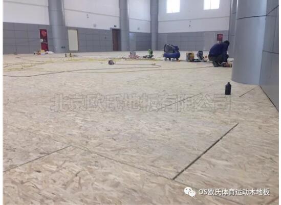 中國(guó)人民銀行玉樹(shù)藏族自治州中心支行籃球館木地板案例 中國(guó)人民銀行玉樹(shù)藏族自治州中心支行籃球館木地板案例