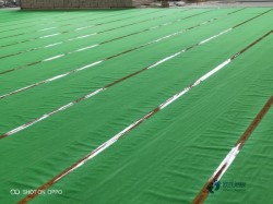 25���\���w���ذ�Ҫ�����X