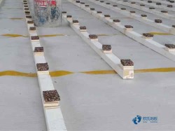 45��б����ǻ@���w���ذ��ļұ���