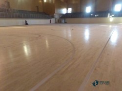 �@���^ľ�ذ屣�B(y��ng)�r���