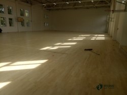 ���b�\(y��n)��ľ�ذ�