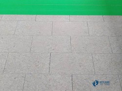 ���û@���w���ذ��Ă�(g��)����