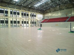 20厚籃球木地板哪個牌子好