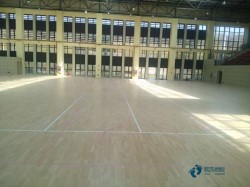 單龍骨籃球體育地板哪個便宜