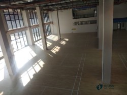 �w�����^����ľ�ذ�˜�