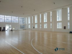 專業(yè)運動木地板價格