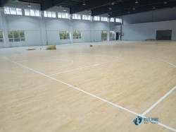 定做體育運(yùn)動(dòng)木地板行業(yè)品牌