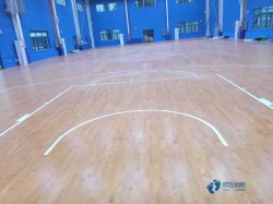 購(gòu)買(mǎi)體育場(chǎng)館地板哪個(gè)牌子較環(huán)保