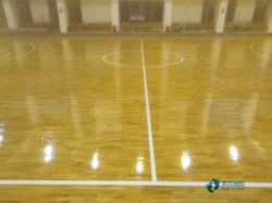 �w���\(y��n)��ľ�ذ��ļҺ�