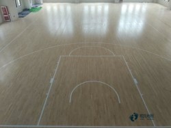 ��Ҋ�w���ذ��M(f��i)��