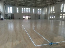 ��W(xu��)�\(y��n)��(d��ng)�w���ذ��Ŷ����X