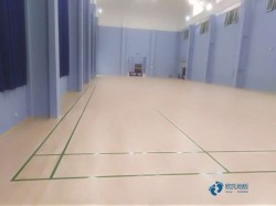 全國(guó)體育館專用木地板廠家