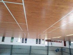 20��@���\(y��n)��(d��ng)�ذ�Ʒ���Ă�(g��)��