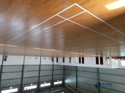 �\(y��n)��(d��ng)�@��ľ�ذ���Щ���Ӻ�