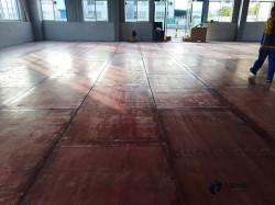 �w���\(y��n)��ľ�ذ�