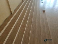 25���\(y��n)��(d��ng)ľ�ذ�Ʒ�����а�