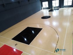 籃球運動實木地板品牌排行榜