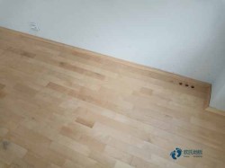 體育運(yùn)動實(shí)木地板品牌有哪些