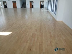 �҃�(n��i)�@���(ch��ng)�\(y��n)��(d��ng)ľ�ذ�ʩ������