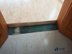 �����w���@��ľ�ذ��^�õ�Ʒ��