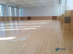 雙層運動木地板品牌