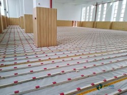 ��(sh��)ľ�\(y��n)��(d��ng)ľ�ذ�DƬ