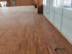 運(yùn)動(dòng)木地板有哪些廠家