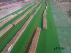 25厚運動體育地板價格一般多少錢一平方米